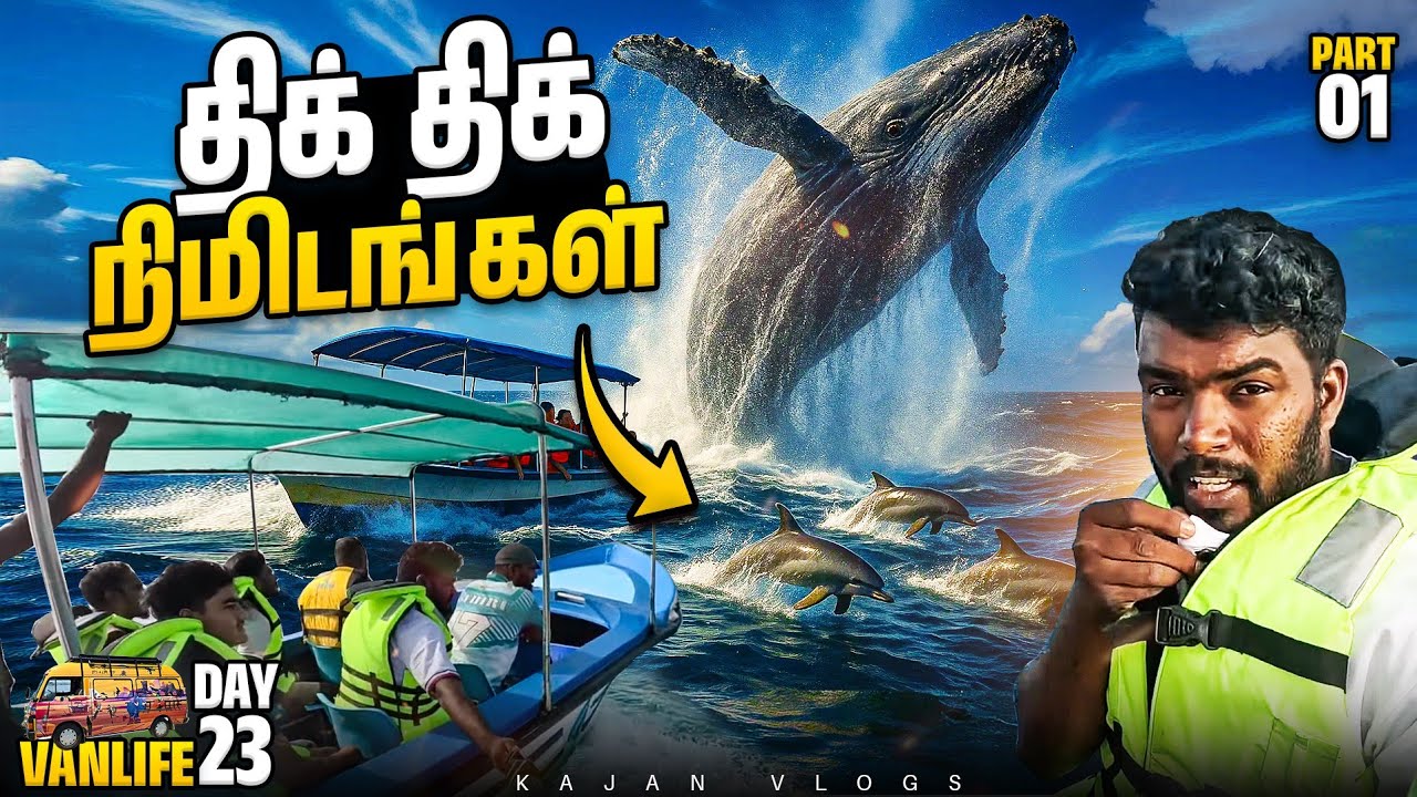நடுக்கடலில் 😱 மரண பயத்தை காட்டிய திமிங்கலம் 🐋 Whale Watching | 😲 Van Life Tamil | 😍 Kajan Vlogs 