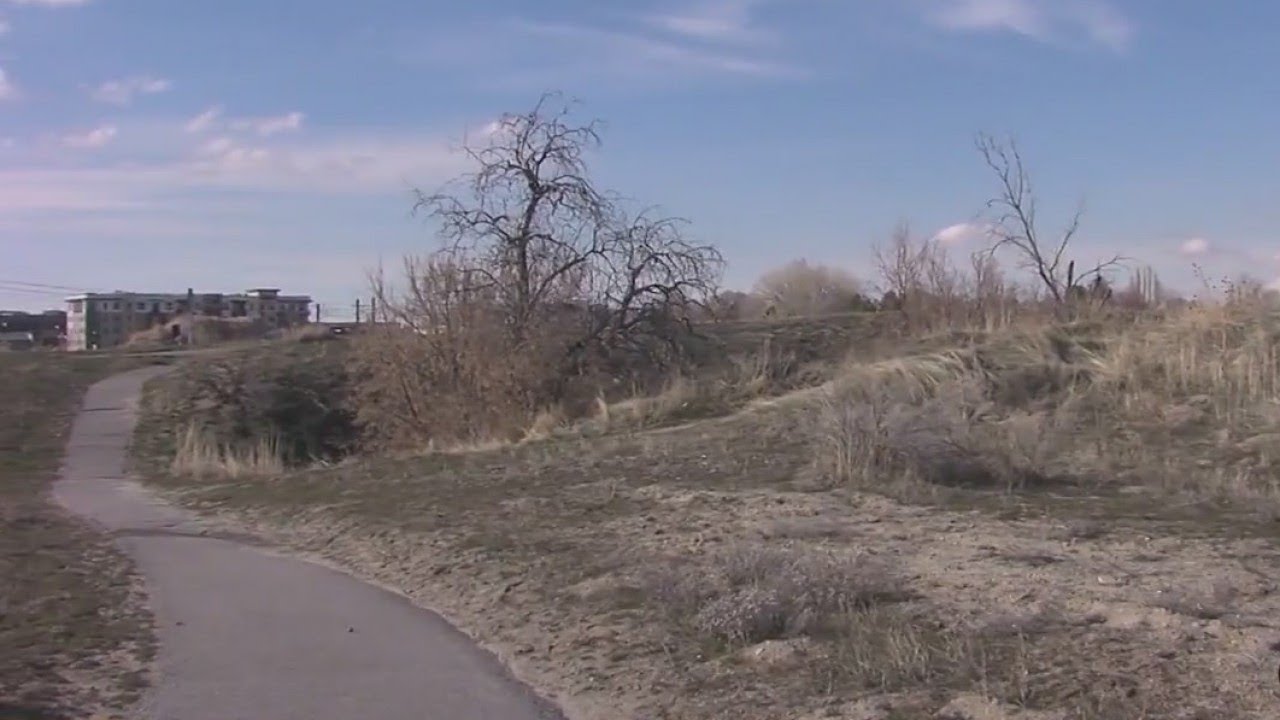 15-year-old to face trial for brutal attack of woman jogger