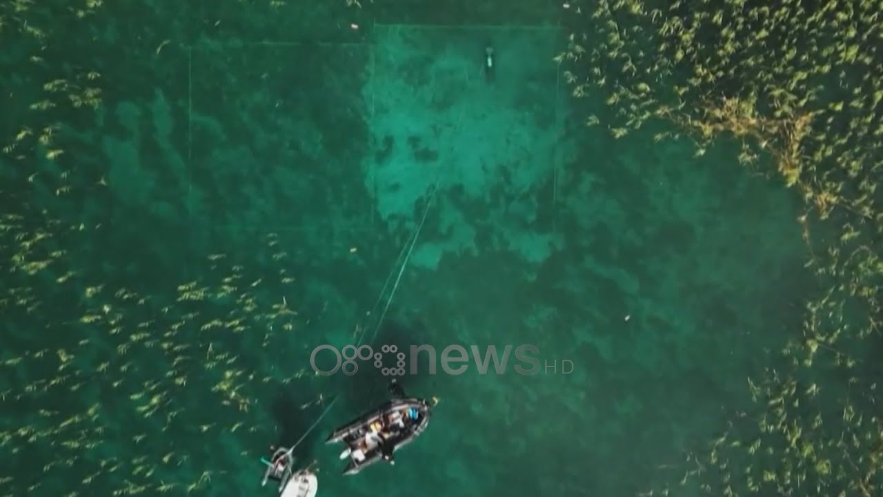 Zbulimet në Lin mahnisin Botën!“Reuters”: Qytetërimi më i vjetër në Evropë mbi një liqen në Shqipëri