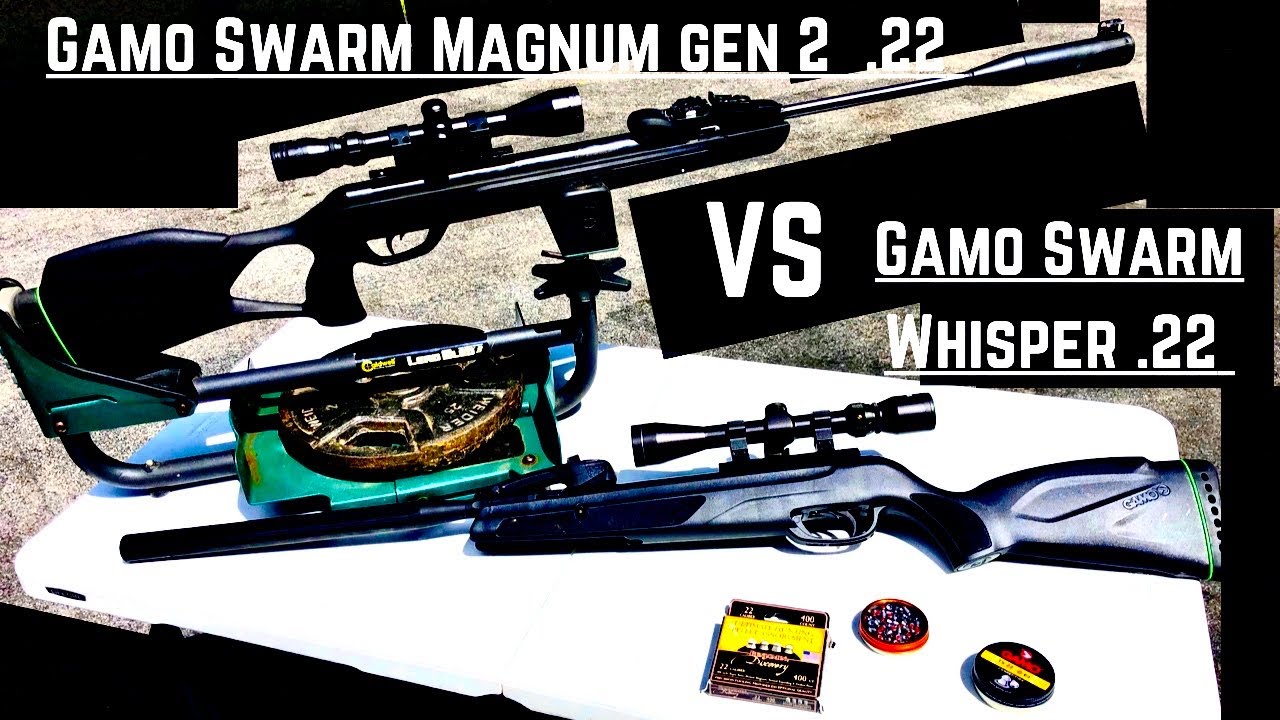 80 Shots - 4 different pellet types/brands...Gamo Magnum VS Whisper!  WHICH RIFLE IS THE BEST!?!?!?