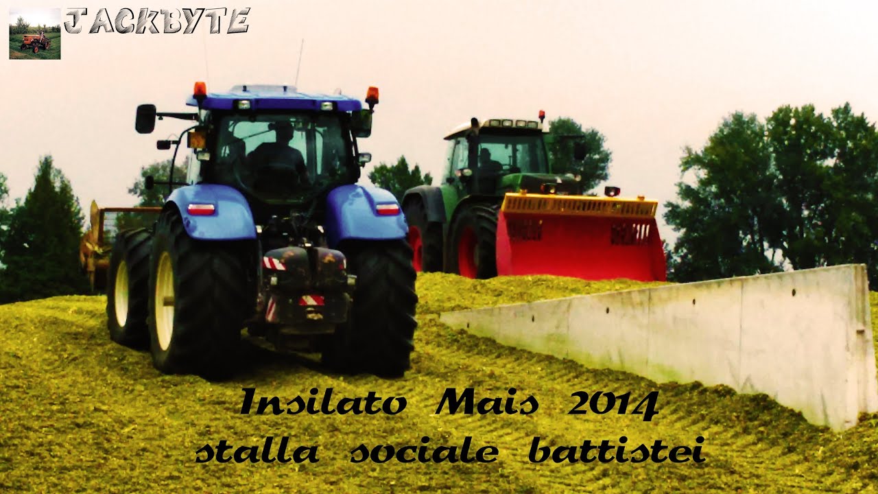 Insilato Mais 2014 Stalla Sociale Battistei