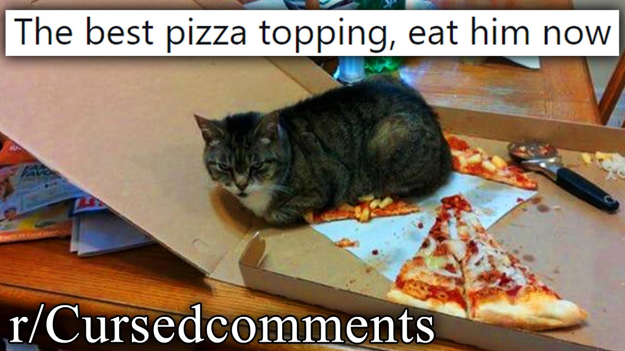 r/Cursedcomments | EAT HIM