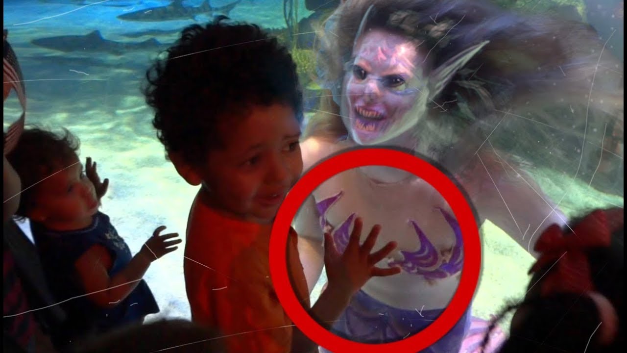SEREIAS, CRIATURAS DO MAR - CASOS E HISTÓRIAS REAIS !!
