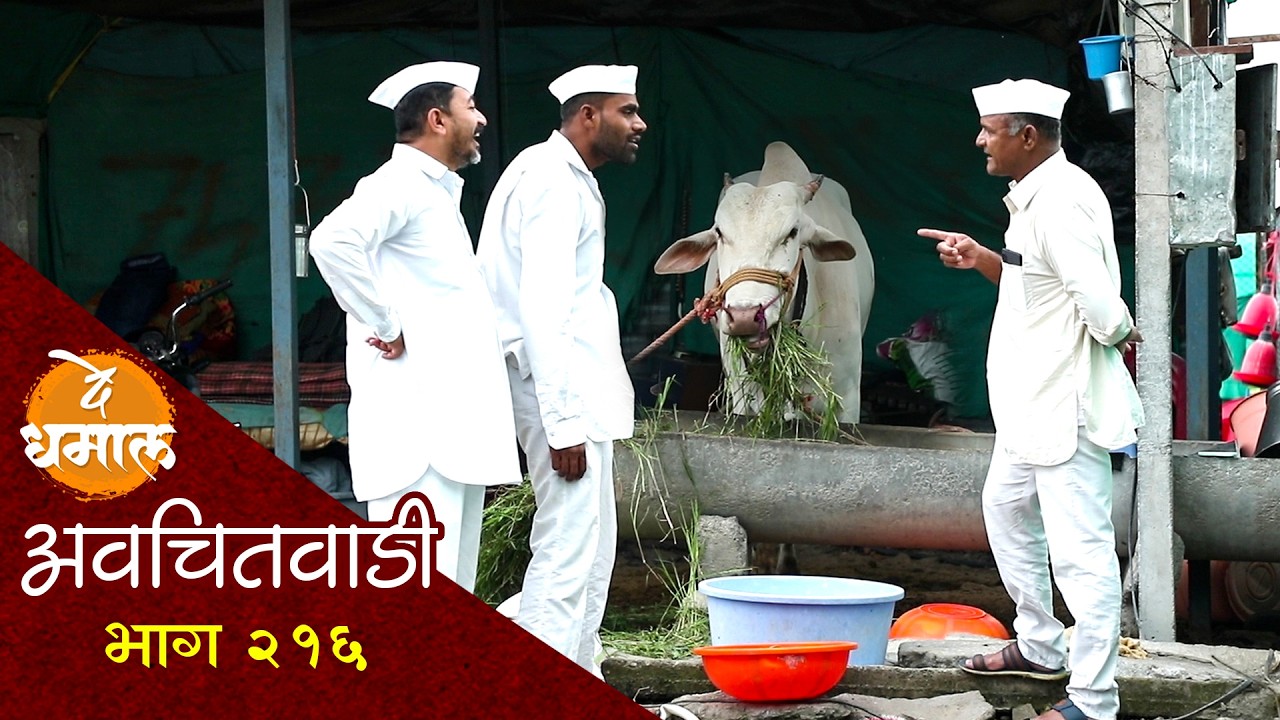 सदाभाऊंच्या बैलानी गावात धिंगाना घातला | अवचितवाडी भाग - २१६ | Avchitwadi Episode - 216 | De Dhamal
