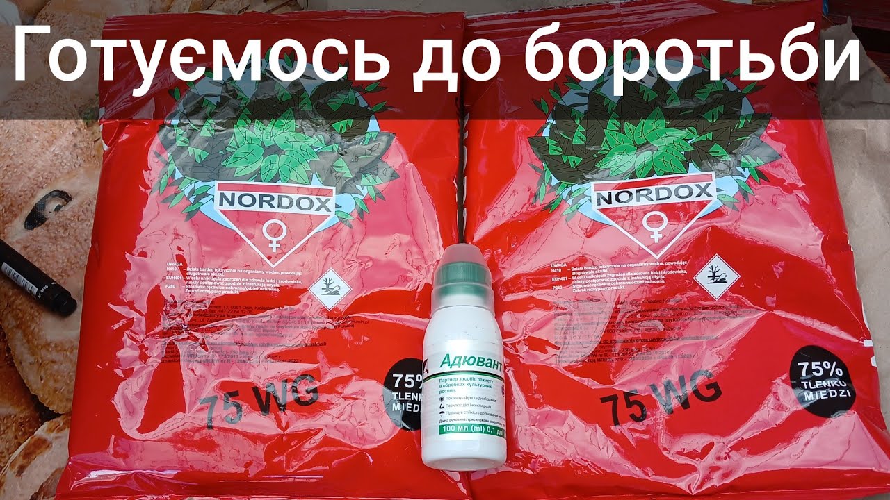 19.10.25. ,''Нордокс '' розпаковка. Будемо експериментувати.