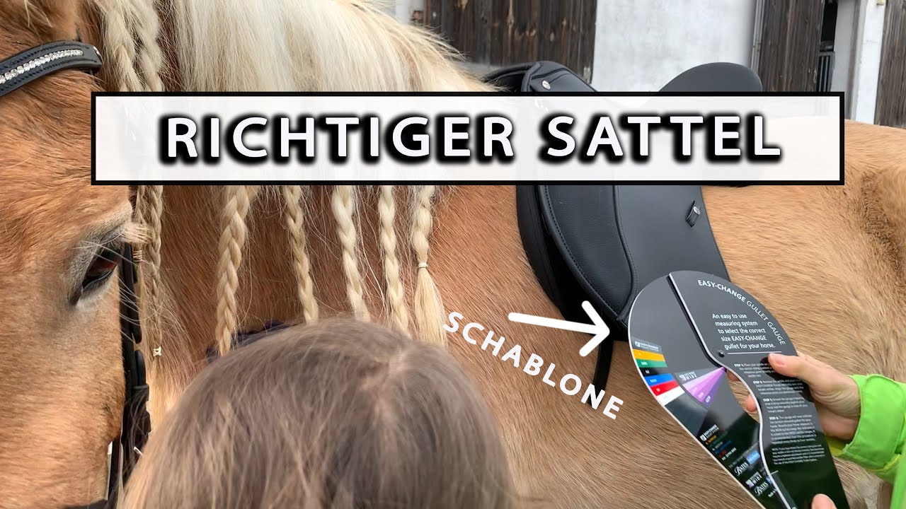 Der richtige Sattel 👍🐴 | Wintec 500 Schablone richtig messen und einstellen
