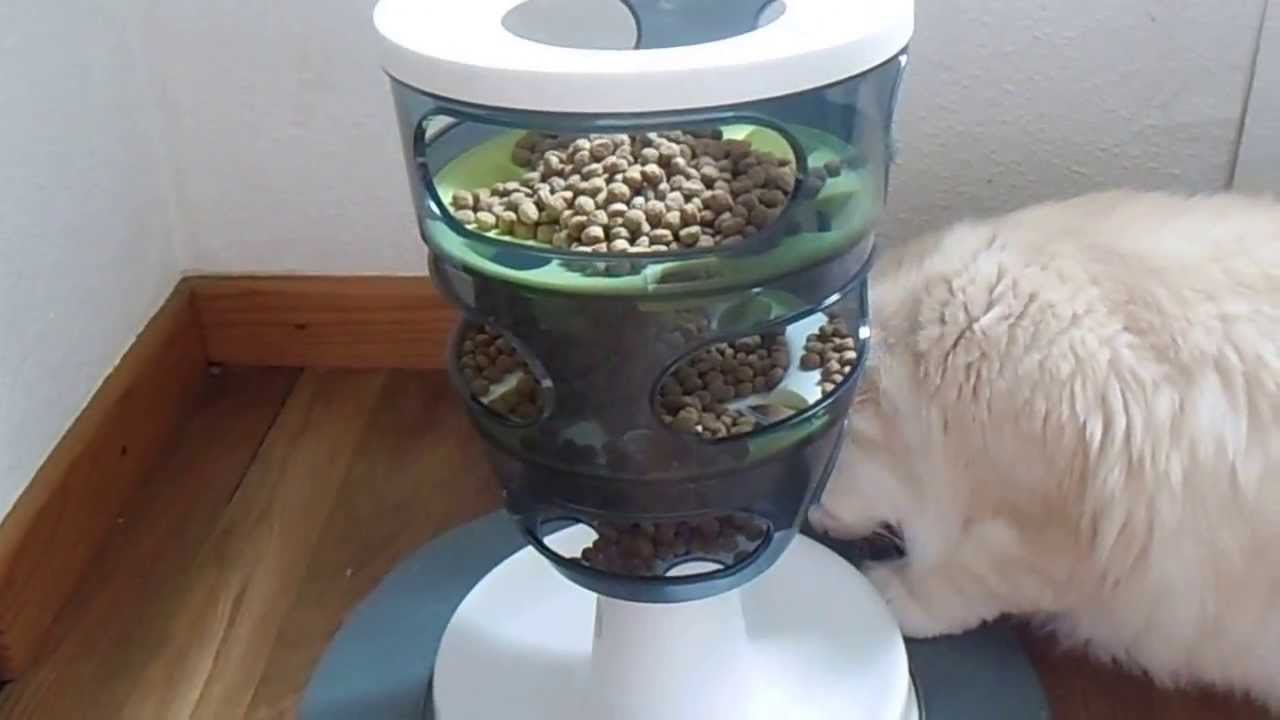 Le Labyrinthe à aliments pour chat Catit Design Senses