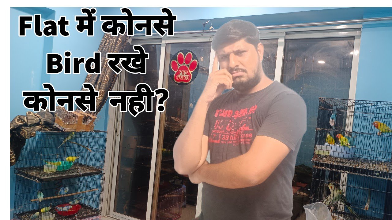 My New Bird / Parrot Setup at Home in Balcony ! | Pet Guru