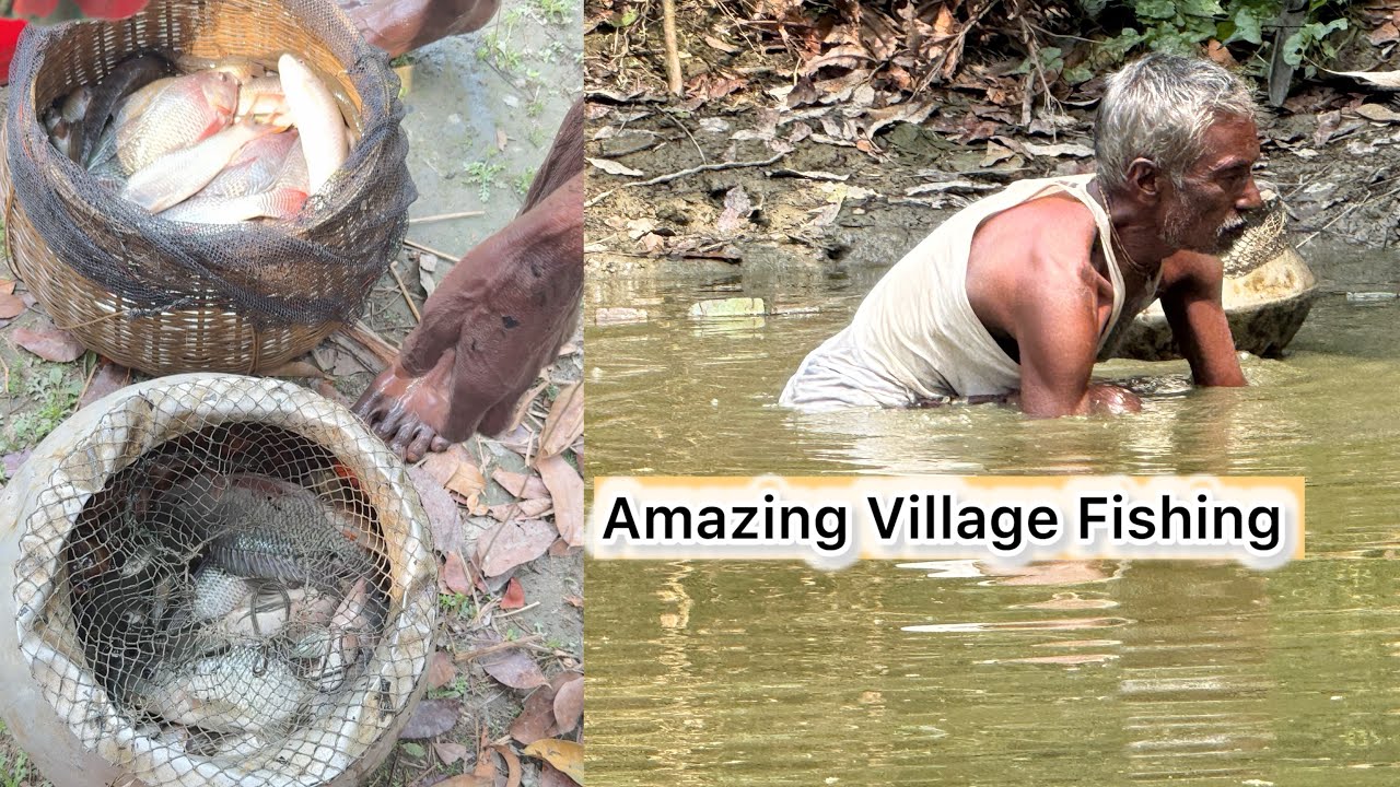 Amazing Village fishing life. 