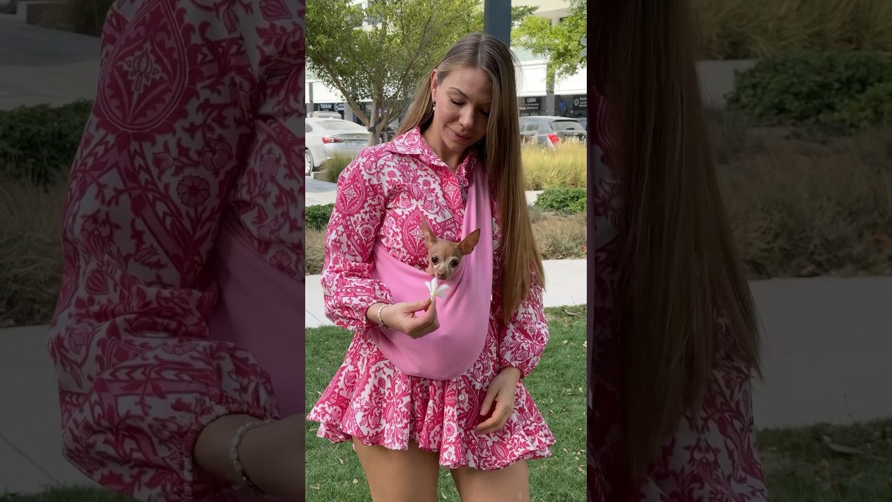 Dog Sling #dogcarrier #dogslisting #petcarrier #chihuahua