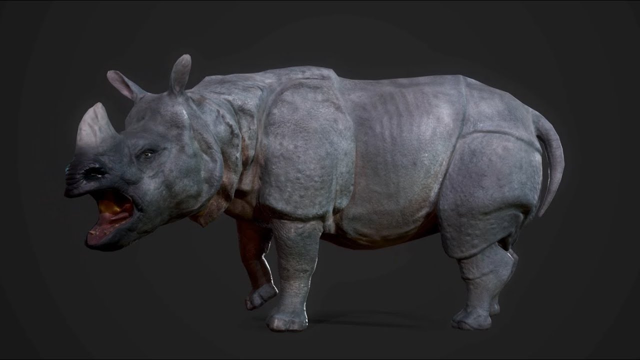 Indian Rhinoceros - PBR 3d model