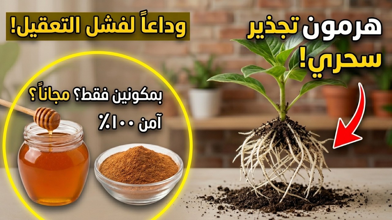 كيف تصنع هرمون تجذير طبيعي وآمن في المنزل ؟!!