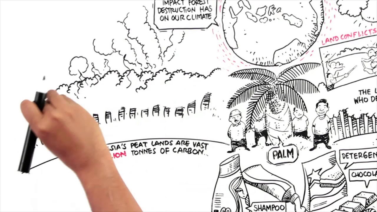 Protect Paradise: An Animation about Palm Oil