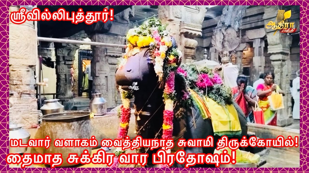 ஸ்ரீவில்லிபுத்தூர் மடவார் வளாகம் வைத்தியநாத சுவாமி திருக்கோயில் தைமாத சுக்கிர வார பிரதோஷம்.
