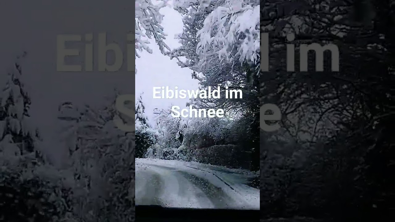 Eibiswald im Schnee