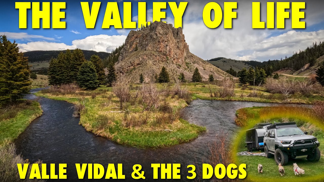 How 3 Dogs Live Their Life in The Valley of Life
