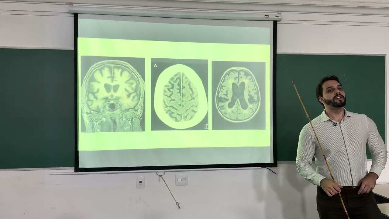 Quais são os domínios cognitivos?