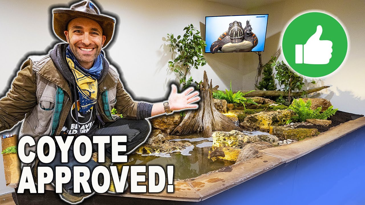 Coyote Peterson *INDOOR TURTLE POND* Final Reveal!