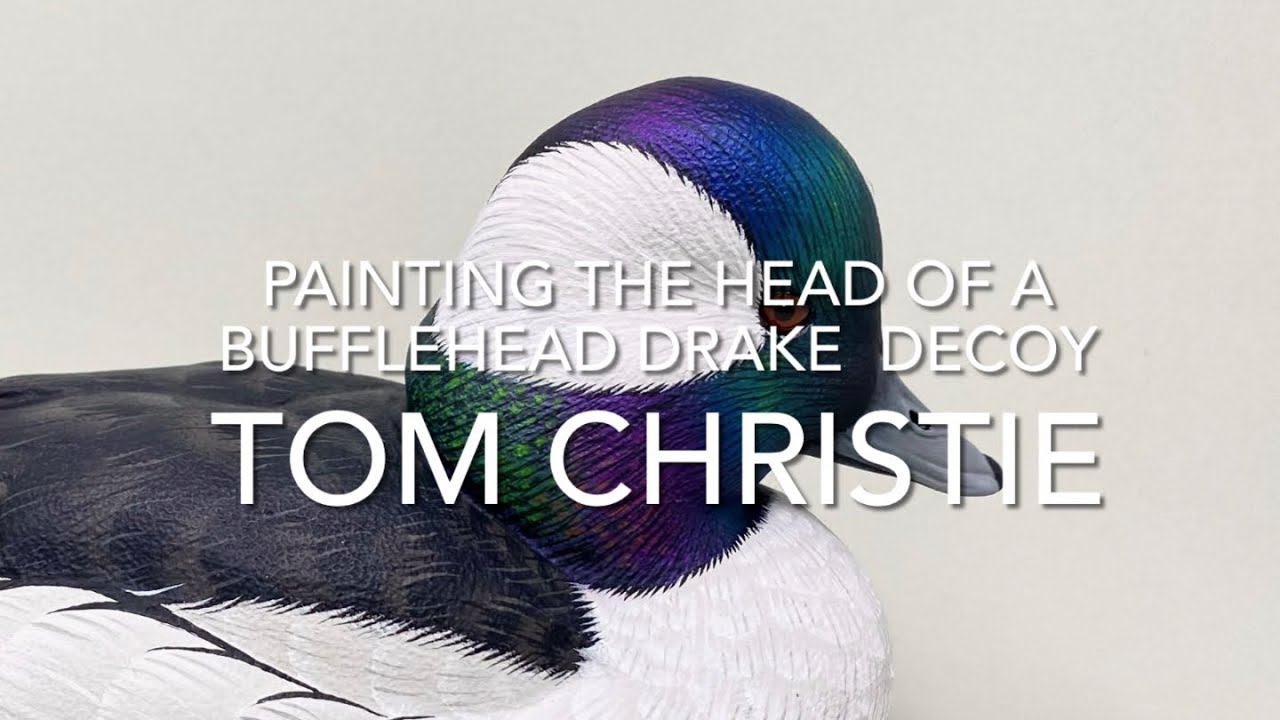 Bufflehead Drake Head Painting