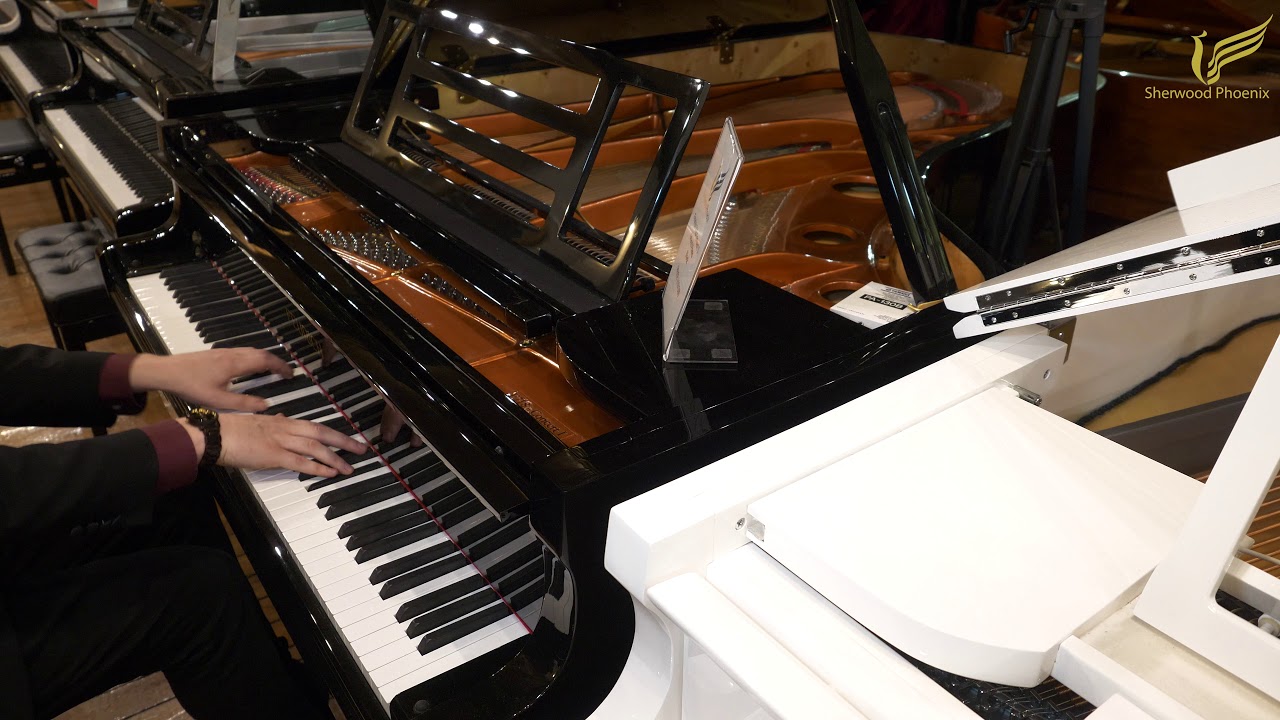 Feurich 218 Concert 1 Grand Piano - Demonstrated by Sherwood Phoenix
