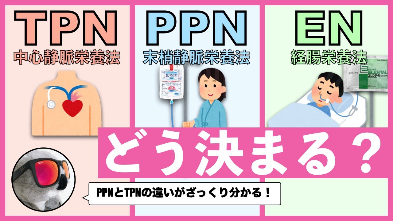 栄養療法ってどう決まるの？【末梢静脈栄養法（PPN）と中心静脈栄養法（TPN）をざっくり比較】