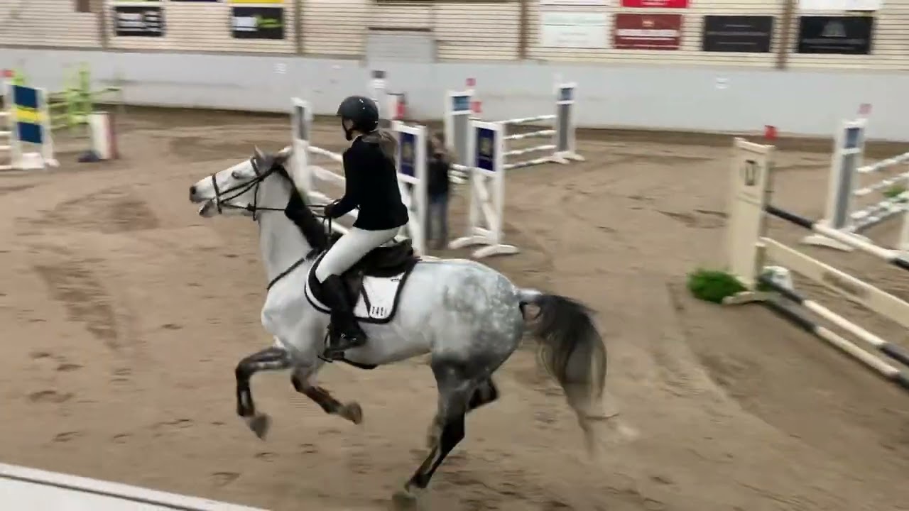 Kaleia Star, Billdals Ridklubb. 120 cm 9/11-2025. Vinst! 