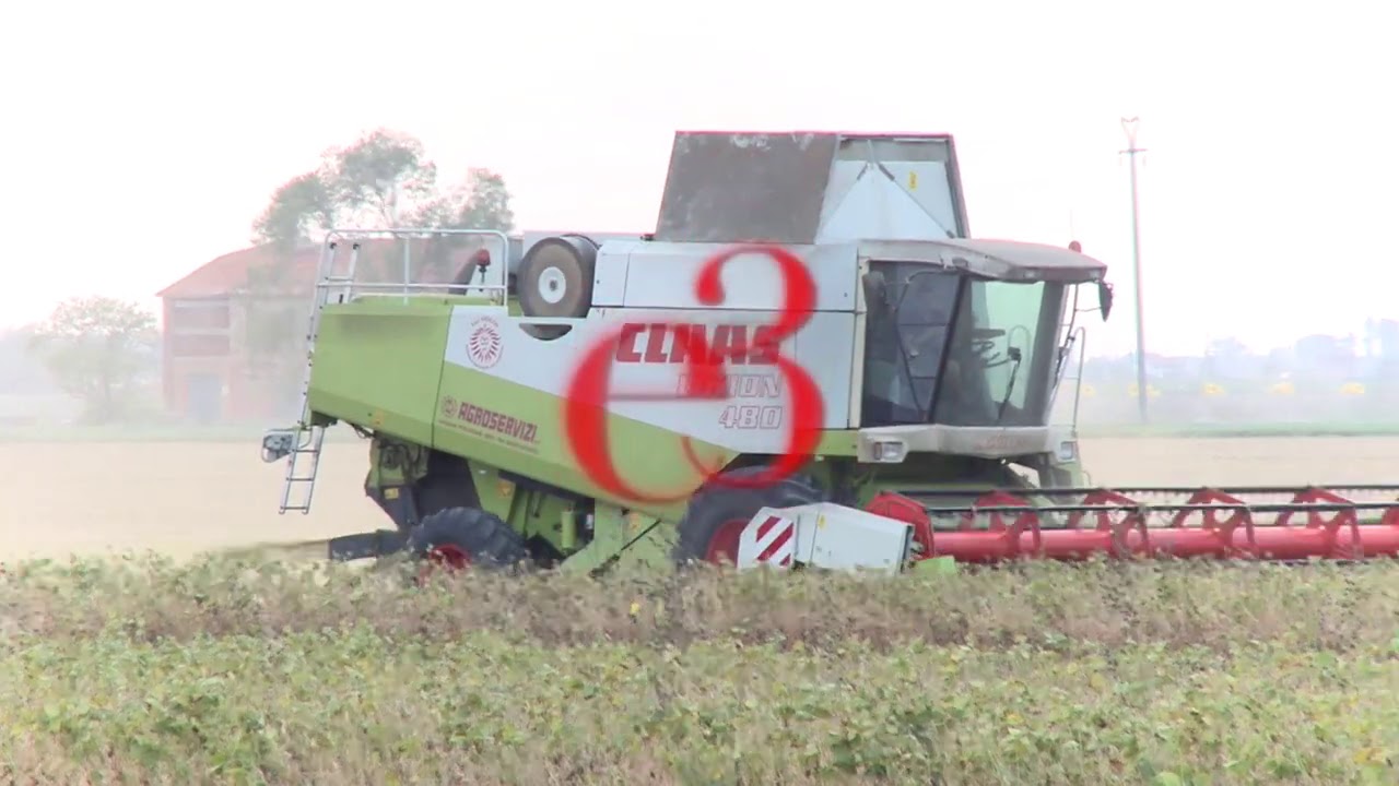 CLAAS LEXION GENERAZIONI 480-580-770-780 NELLA RACCOLTA SOIA CON BARRE XXL