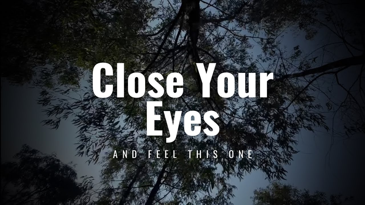 Wind in Eucalyptus Trees 🌿 Natural Wind Sounds for Sleep, Relaxation & Meditation (90 Minutes)