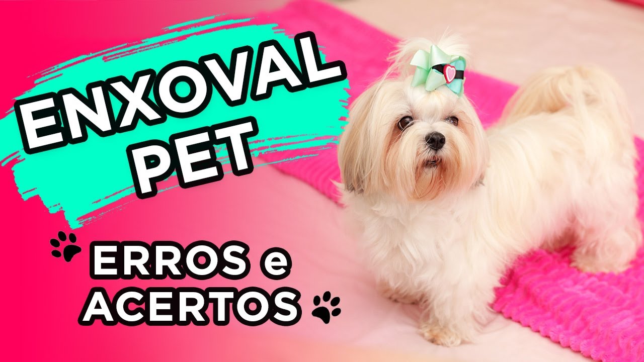 🐾 ENXOVAL PET com produtos QUE VALEM A PENA! 🐾         #shihtzu