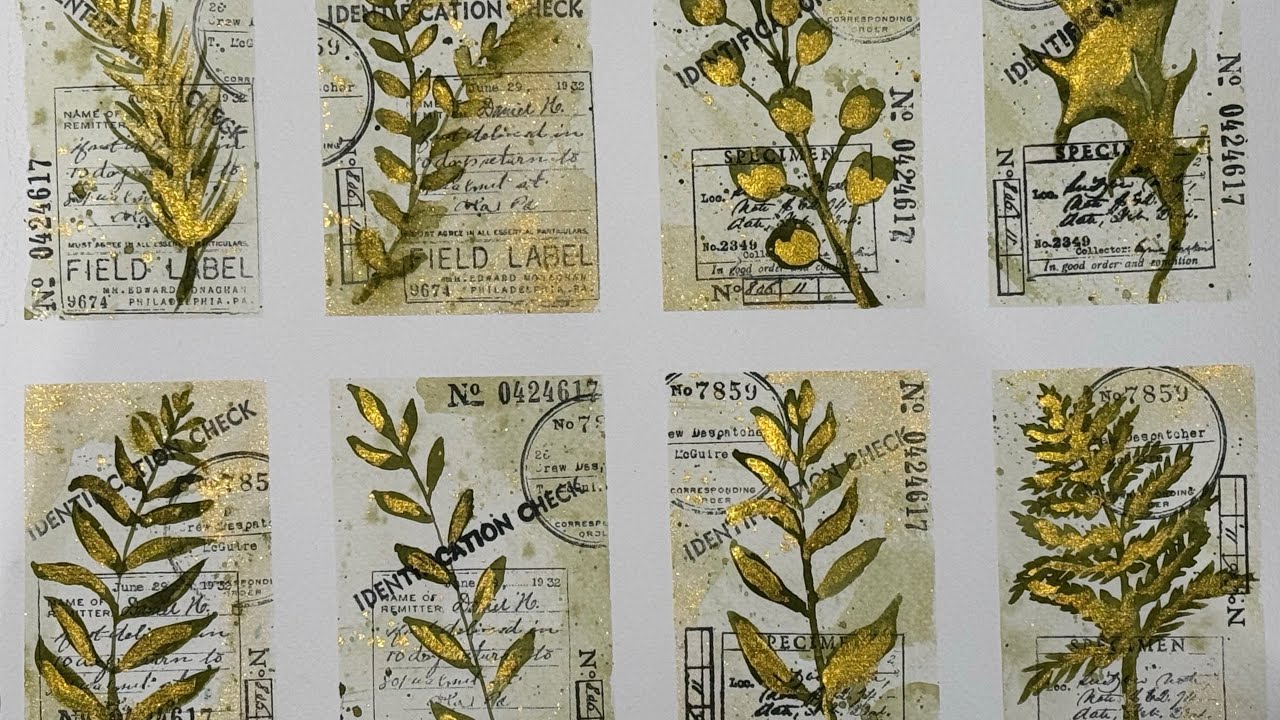 Watercolour field note specimen cards