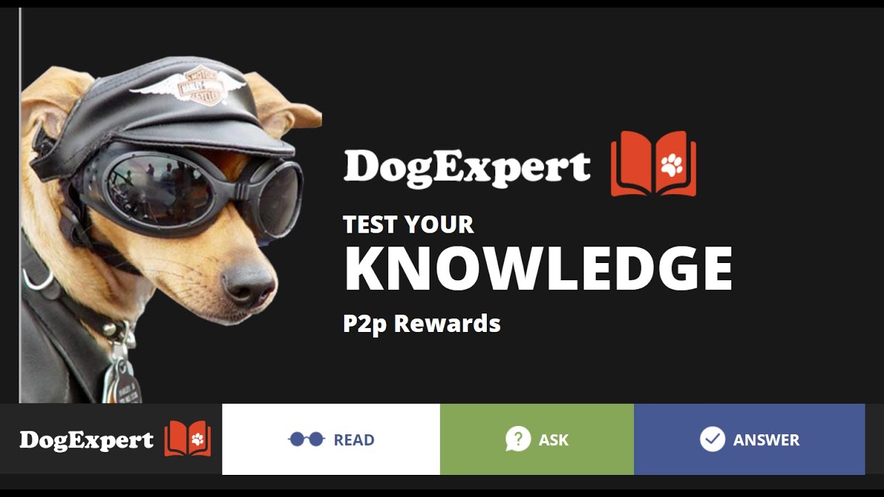DogData - A Complete Review About DogData Partners Media Coverage & RoadMap