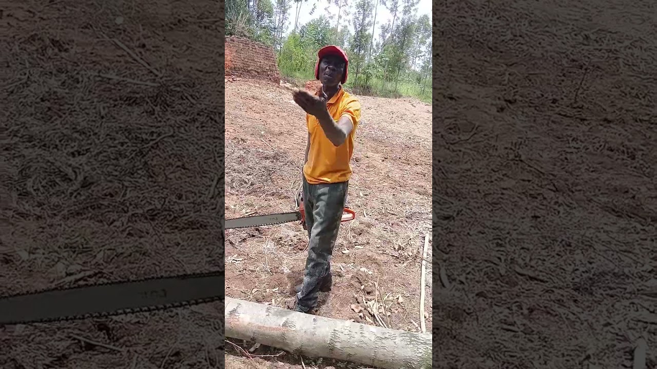 WOIII KARIBU NIKATWE KATWE NA POWERSAW!!!