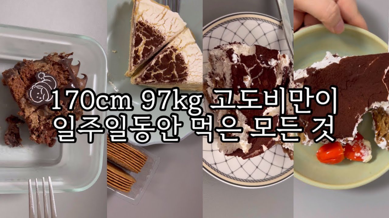 고도비만 브이로그 / 폭식의 일주일 / 단짠에 미쳐벌임