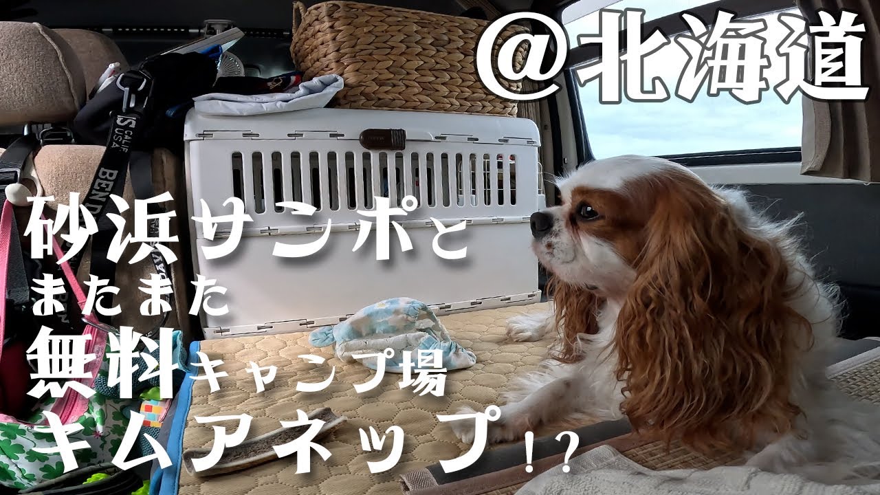 【わんこと北海道】キムアネップ岬キャンプ場で車中泊！
