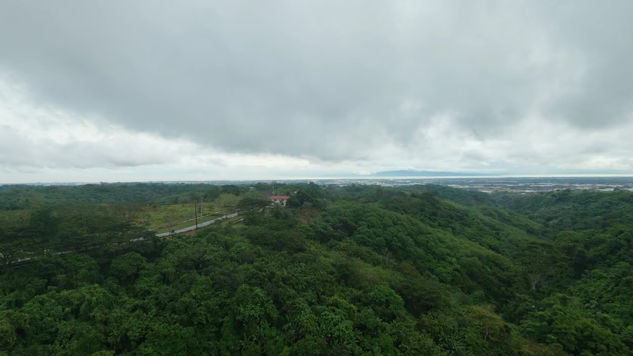 Mmda nature park aerial view(NEO)