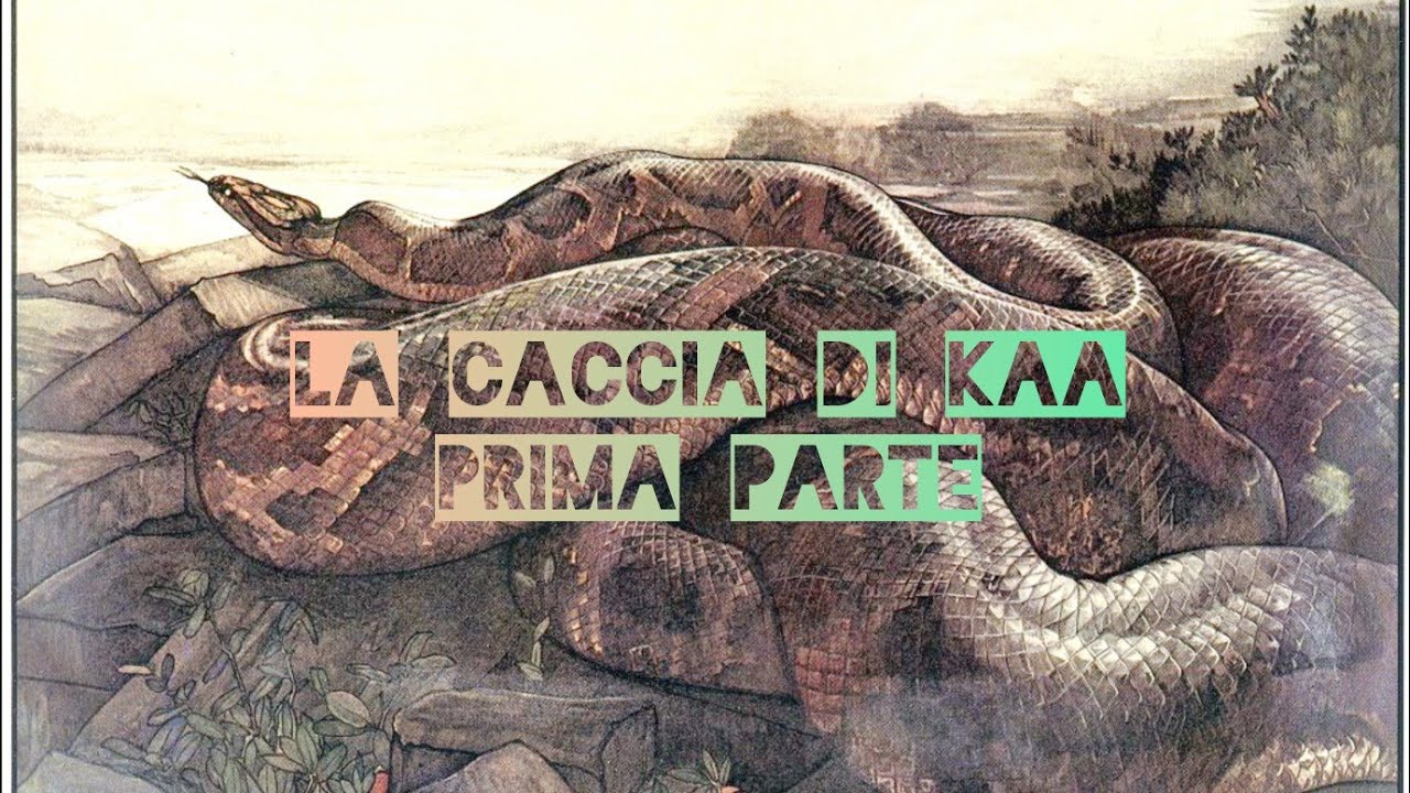 La caccia di Kaa pt1
