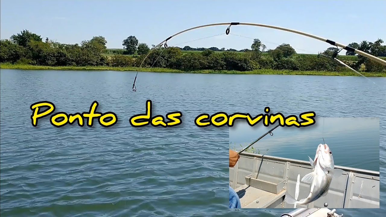 PESCARIA DE CORVINA... muita corvina