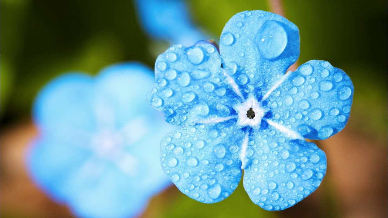 9 hours rain sounds, wind chimes sounds for deep sleep, relaxing sounds