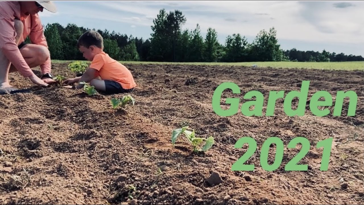 Planting our GARDEN 2021 🌽🍉🍅🫑🥒