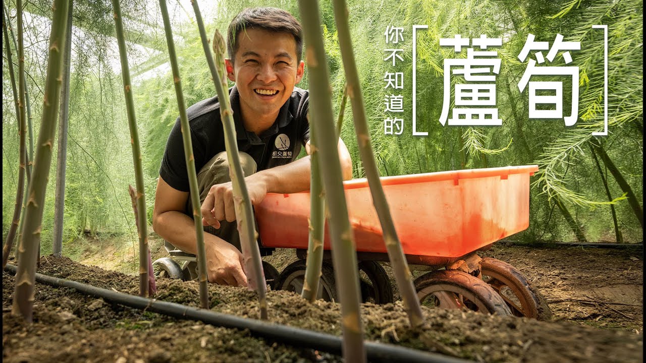 你不知道的蘆筍｜食材產地