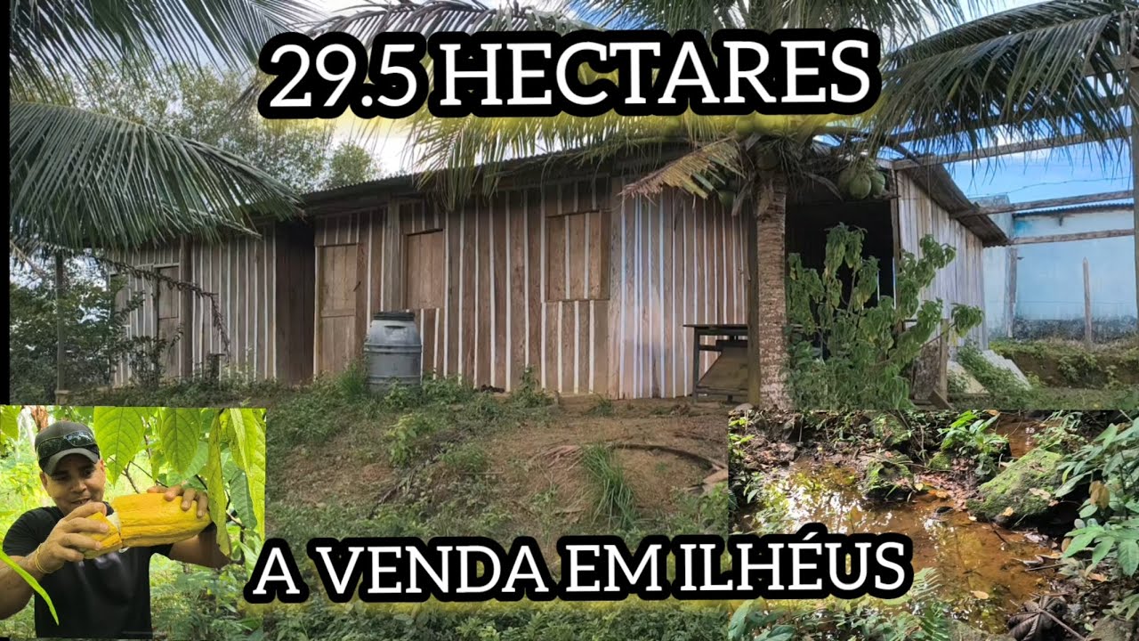 A VENDA EM ILHÉUS BA 29.5 HECTARES BOA PARA PLANTIO 360 MIL #sítiosavenda