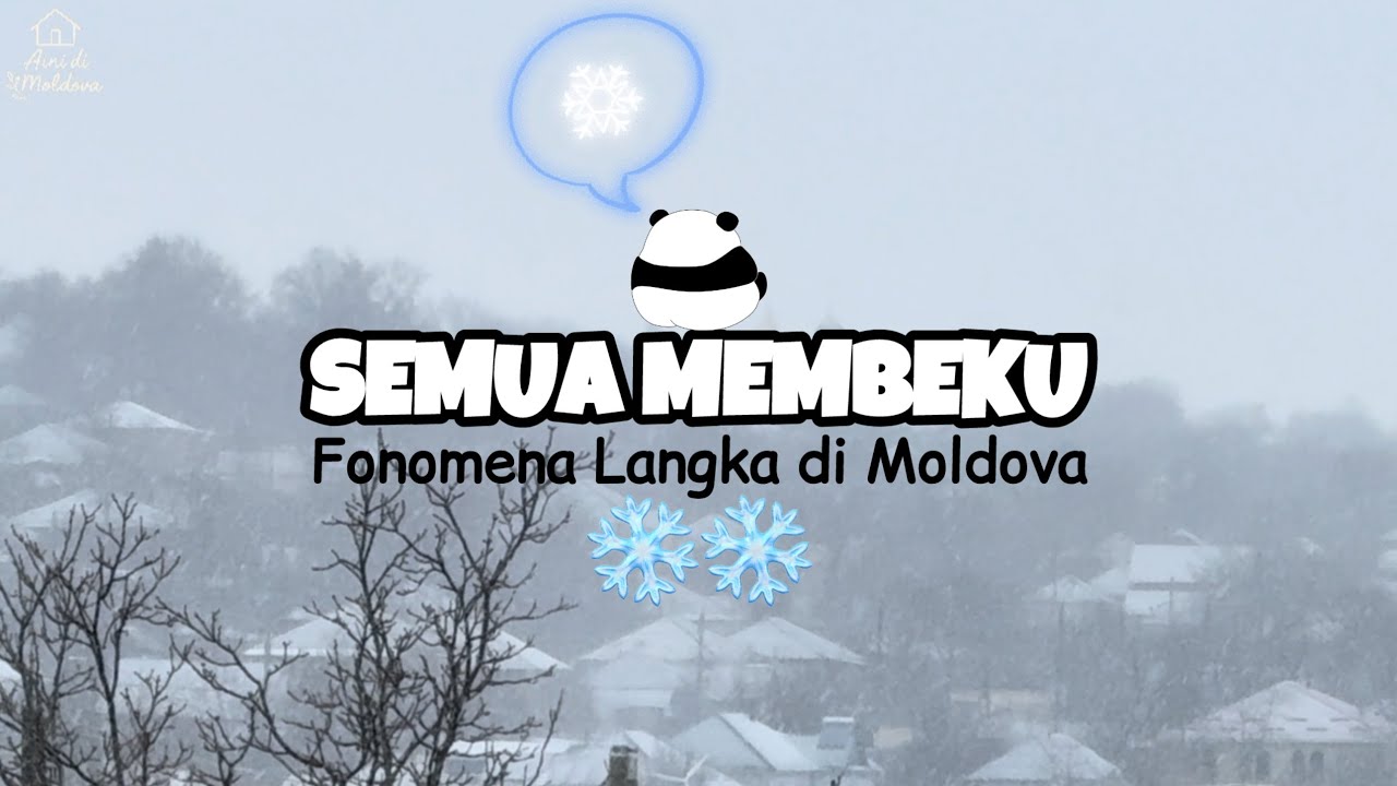Fenomena Langka dan Kondisi Berbahaya! Desa di Moldova Membeku, Pohon Jadi Es ❄️ 
