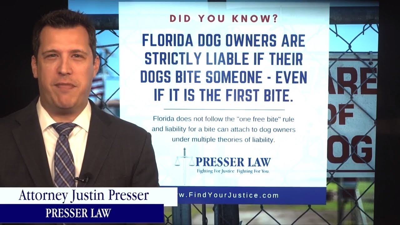 Florida&rsquo;s Dog Bite Law  |  Personal Injury Attorney