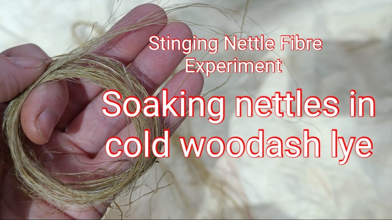 Nettle Fibre Experiment: Cold Woodash Lye