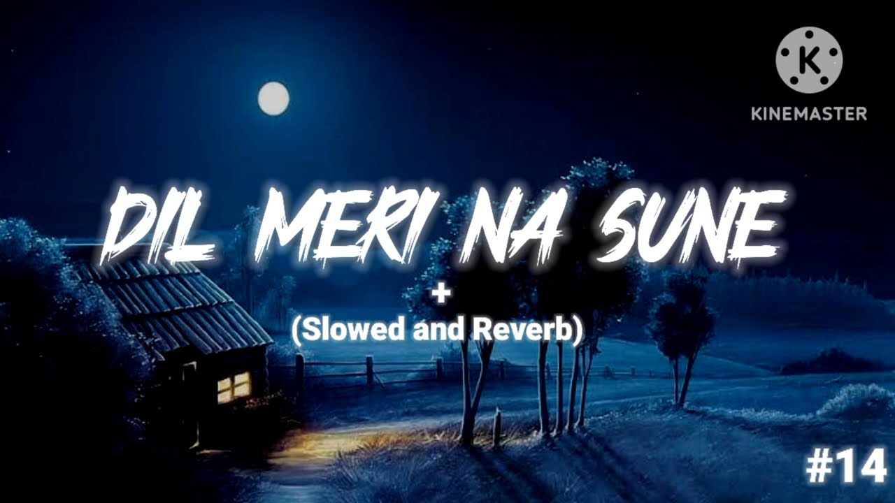 Love Song || Dil Meri Na Sune Slowed and Reverb || Slowed and Reverb || Lofi ||#lofi