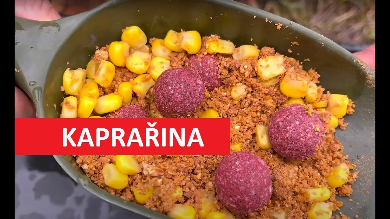 Kukuřice na ryby do krmení – ANO nebo NE?