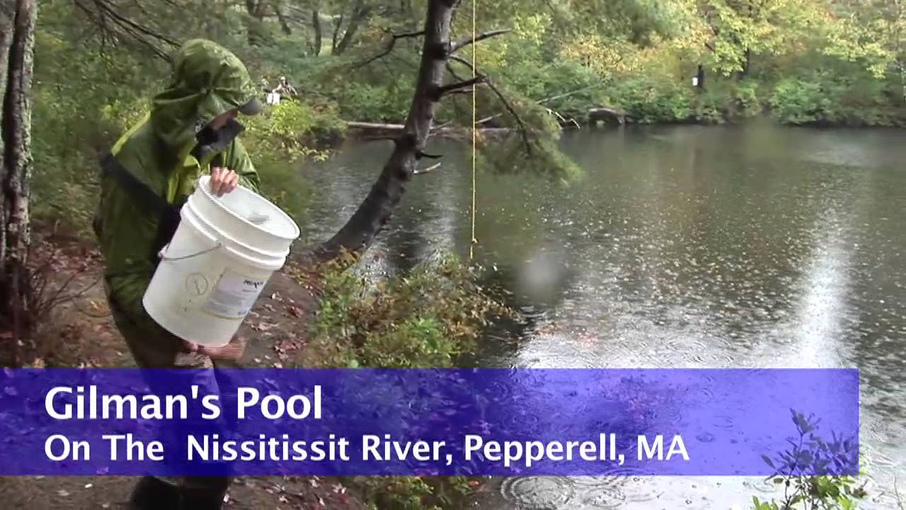 Trout Stocking, A labor of Love