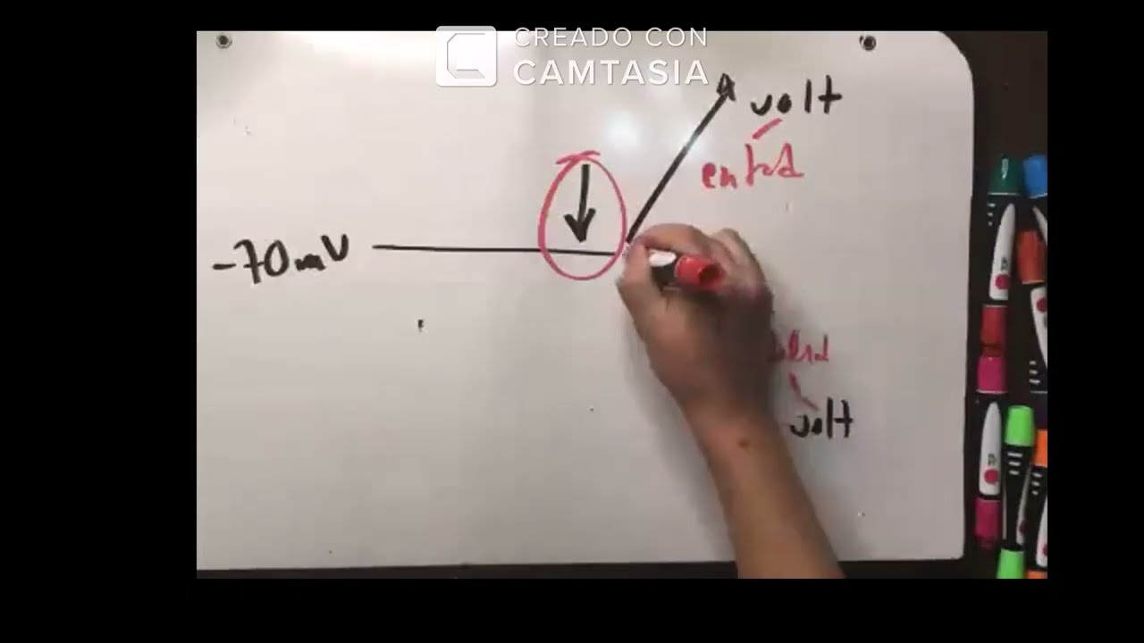 Potencial de acción
