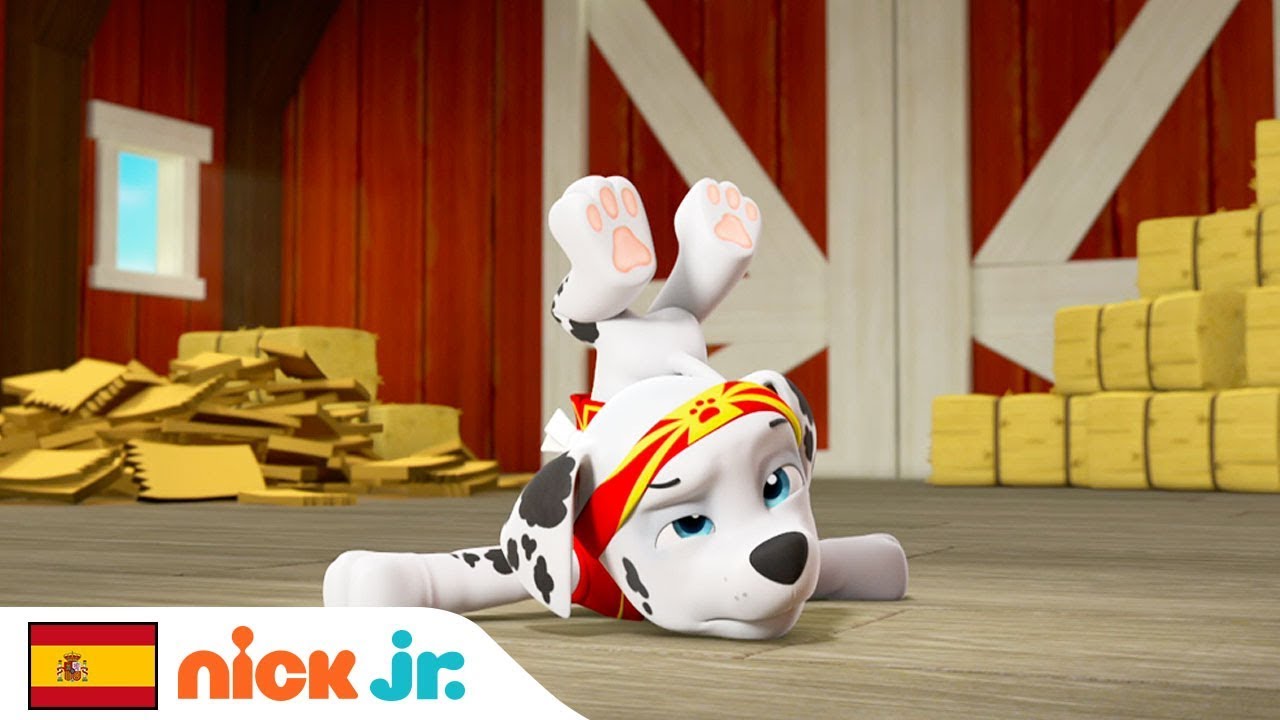 Chucho Fu 🐶 Contra Gato Jitsu 🐱 | Patrulla Canina | Nick Jr. España