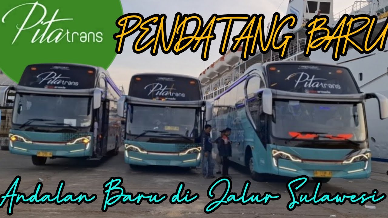 PENDATANG BARU DI JALUR SULAWESI‼️PITA TRANS SIAP MELAYANI PENUMPANG MAKASSAR - MALILI PP